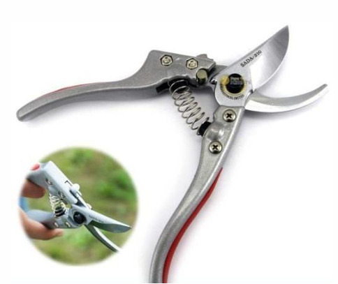 Pruning shears