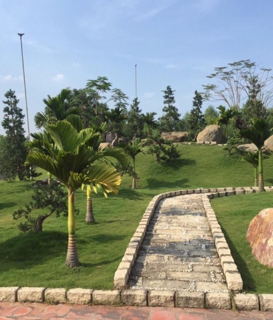 Landscape construction