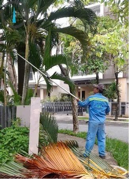 Tien Dat projects
