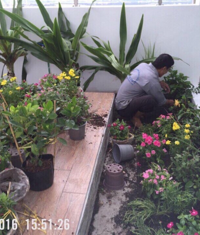 Garden construction