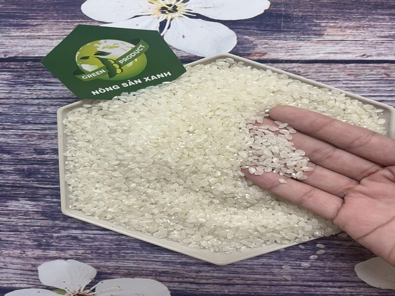 Japonica rice
