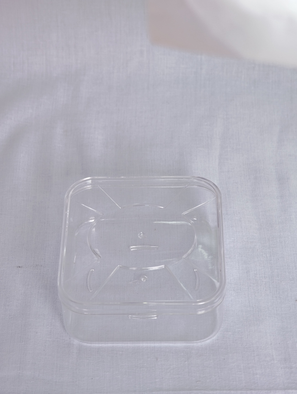 GPPS plastic boxes