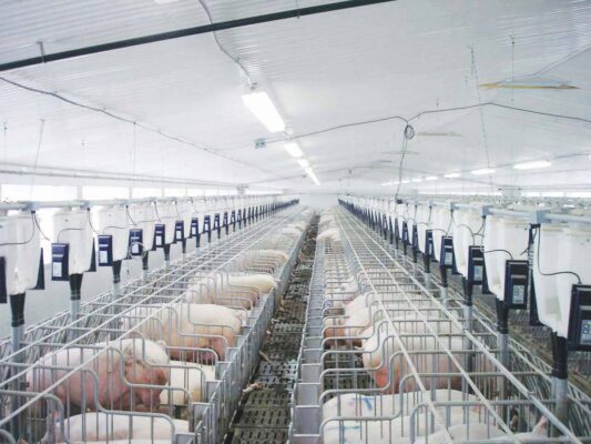 Generator Supply for Livestock Farm in Nam Dinh