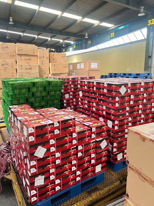 Phuoc Thanh Tai Company Activity Photo