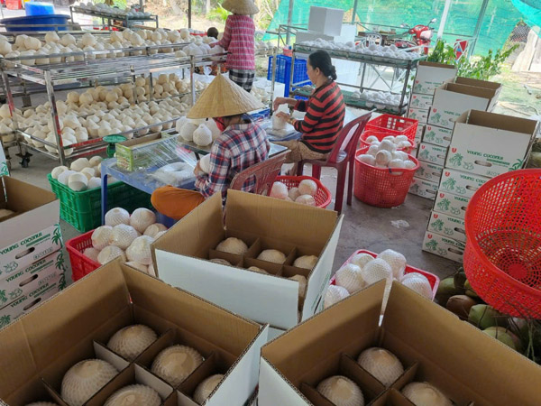Phuoc Thanh Tai Company Activity Photo