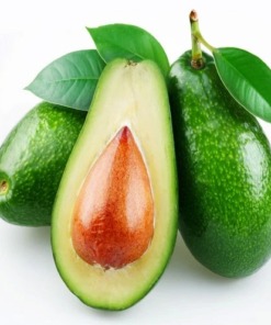 Middle Eastern avocados