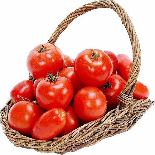 South American tomatoes