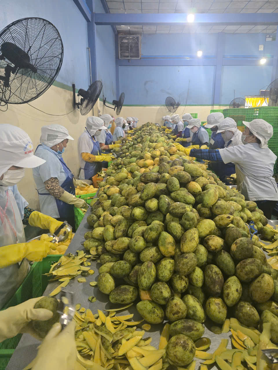 Ba Suong factory image
