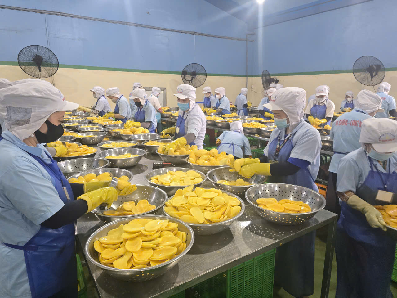Ba Suong factory image