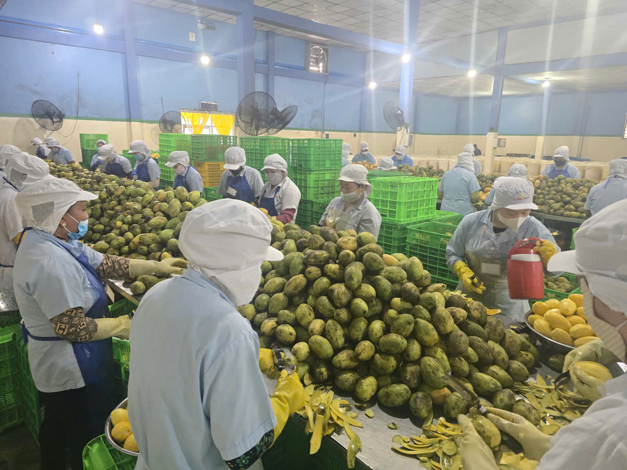 Ba Suong factory image