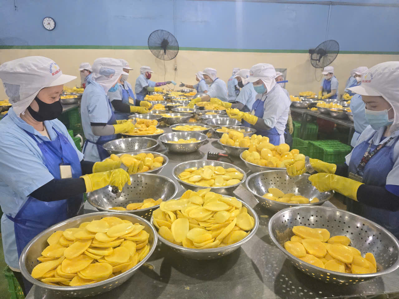 Ba Suong factory image