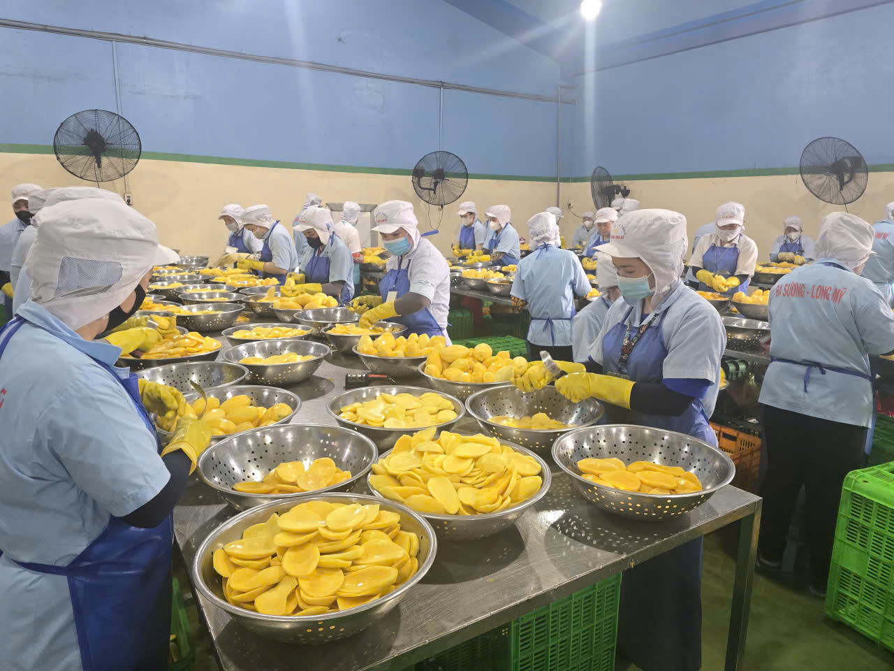 Ba Suong factory image
