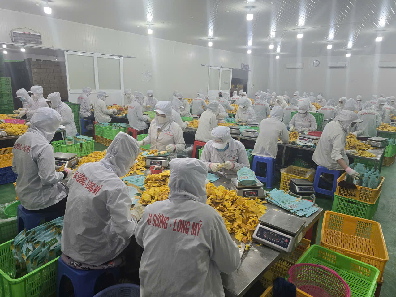 Ba Suong factory image