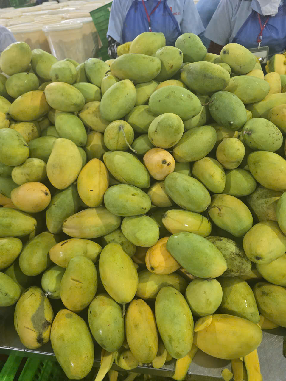 Ba Suong factory image