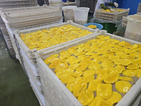 Ba Suong - Long My Factory