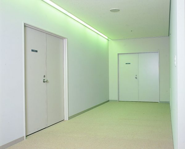 Fire-rated door for apartment building
