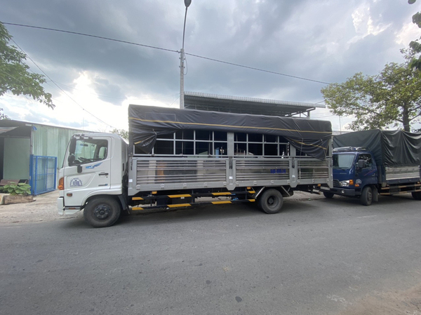 Sita Do fleet