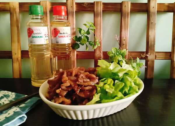 Beef onion stir-fry