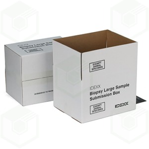 White packaging box