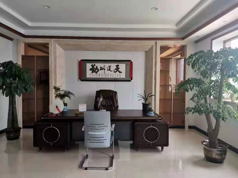 CEO office