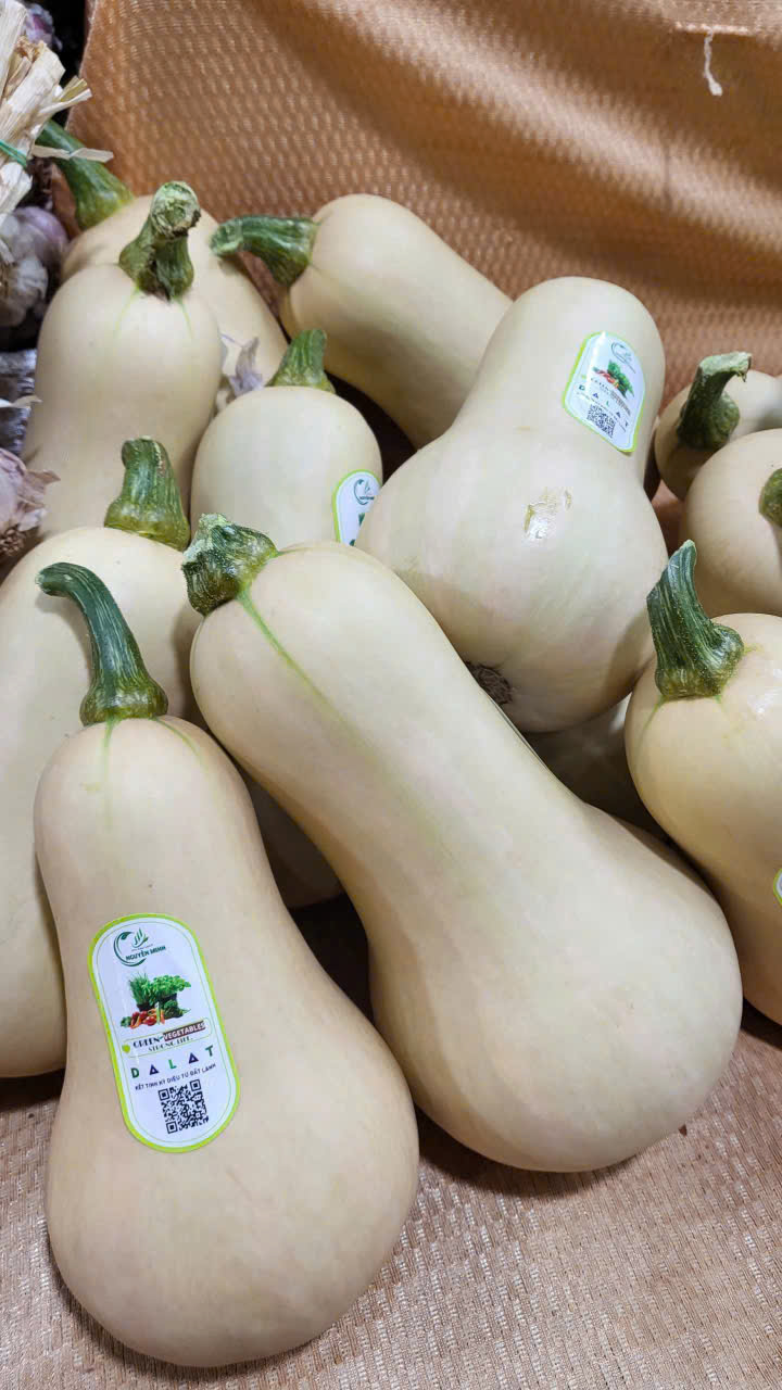 Butternut squash