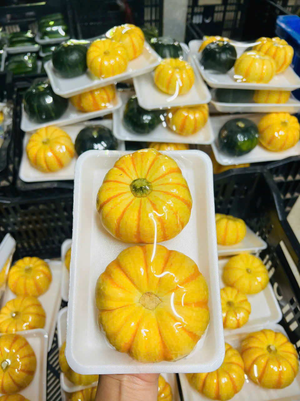 Acorn squash