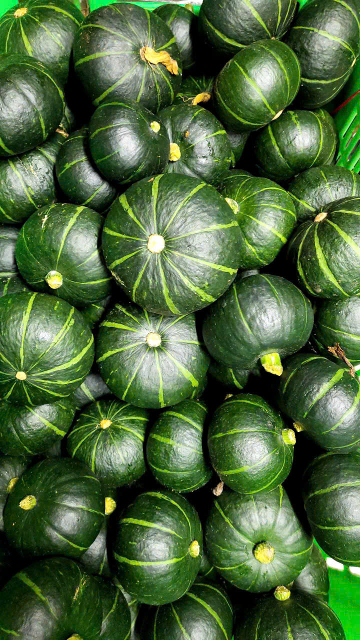Pumpkin