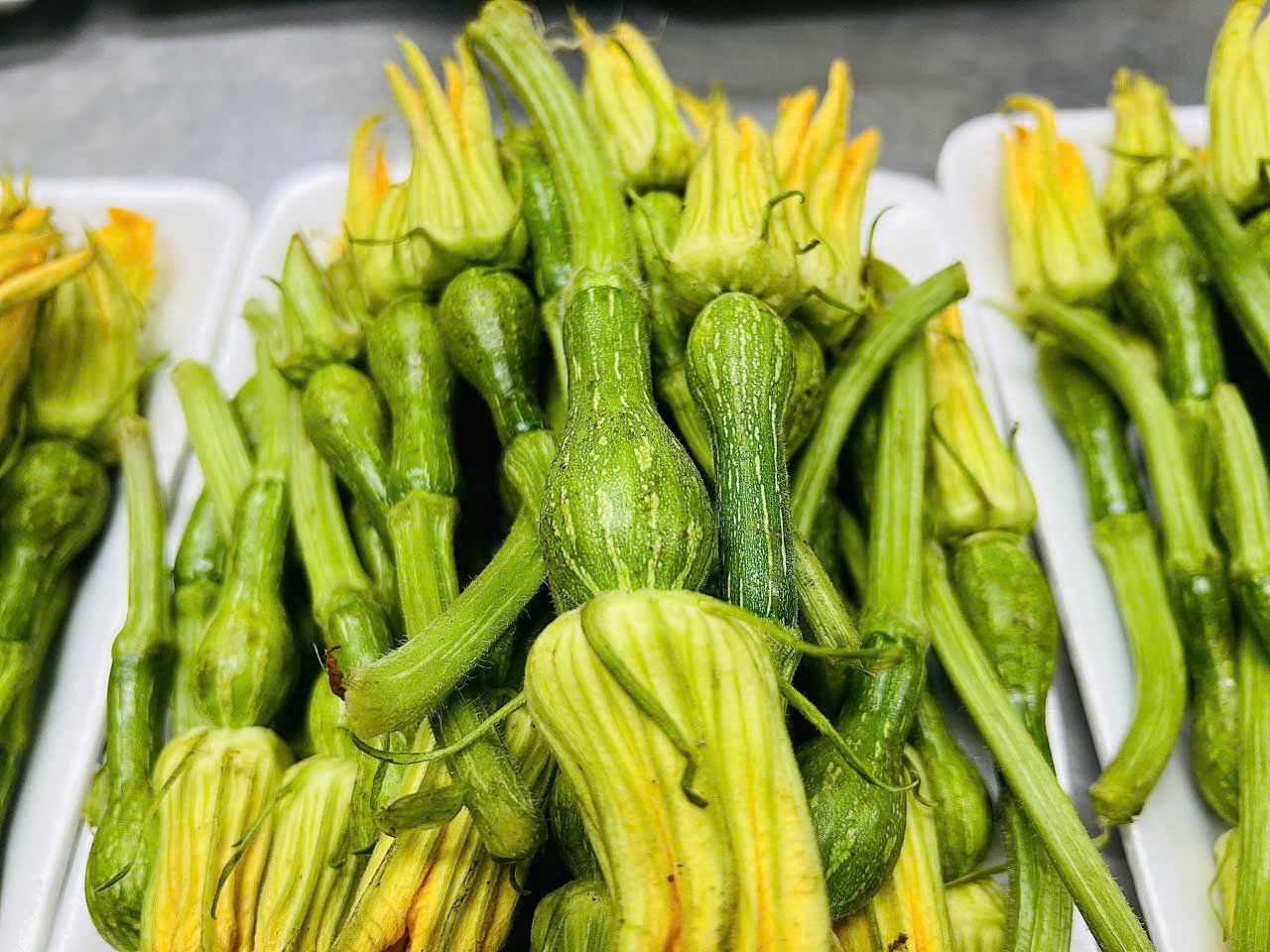 Baby zucchini