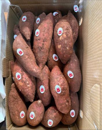 Sweet potato