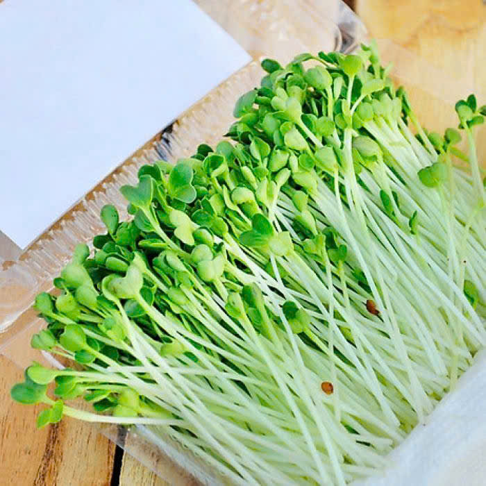 Microgreens