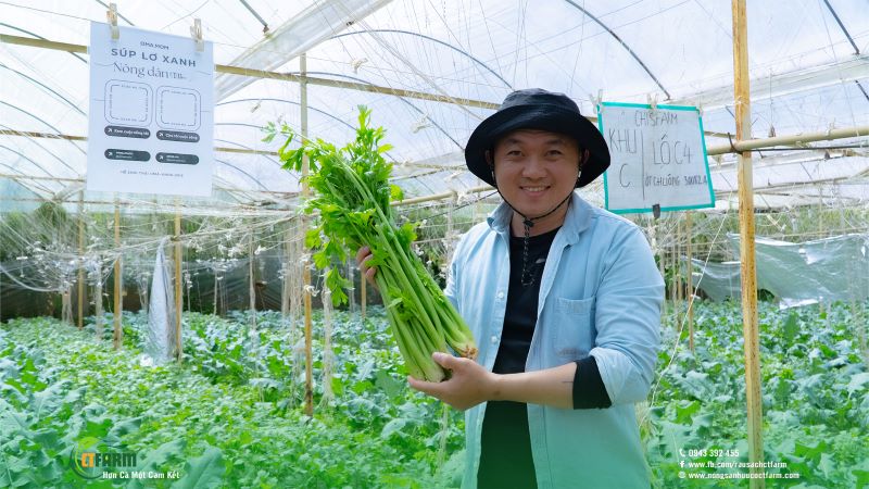 Celery