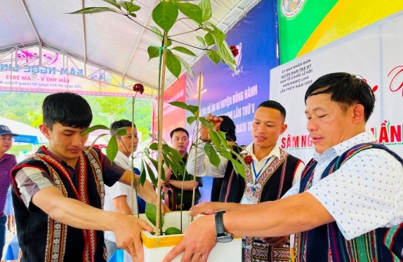 Nam Tra My (Quang Nam) tour