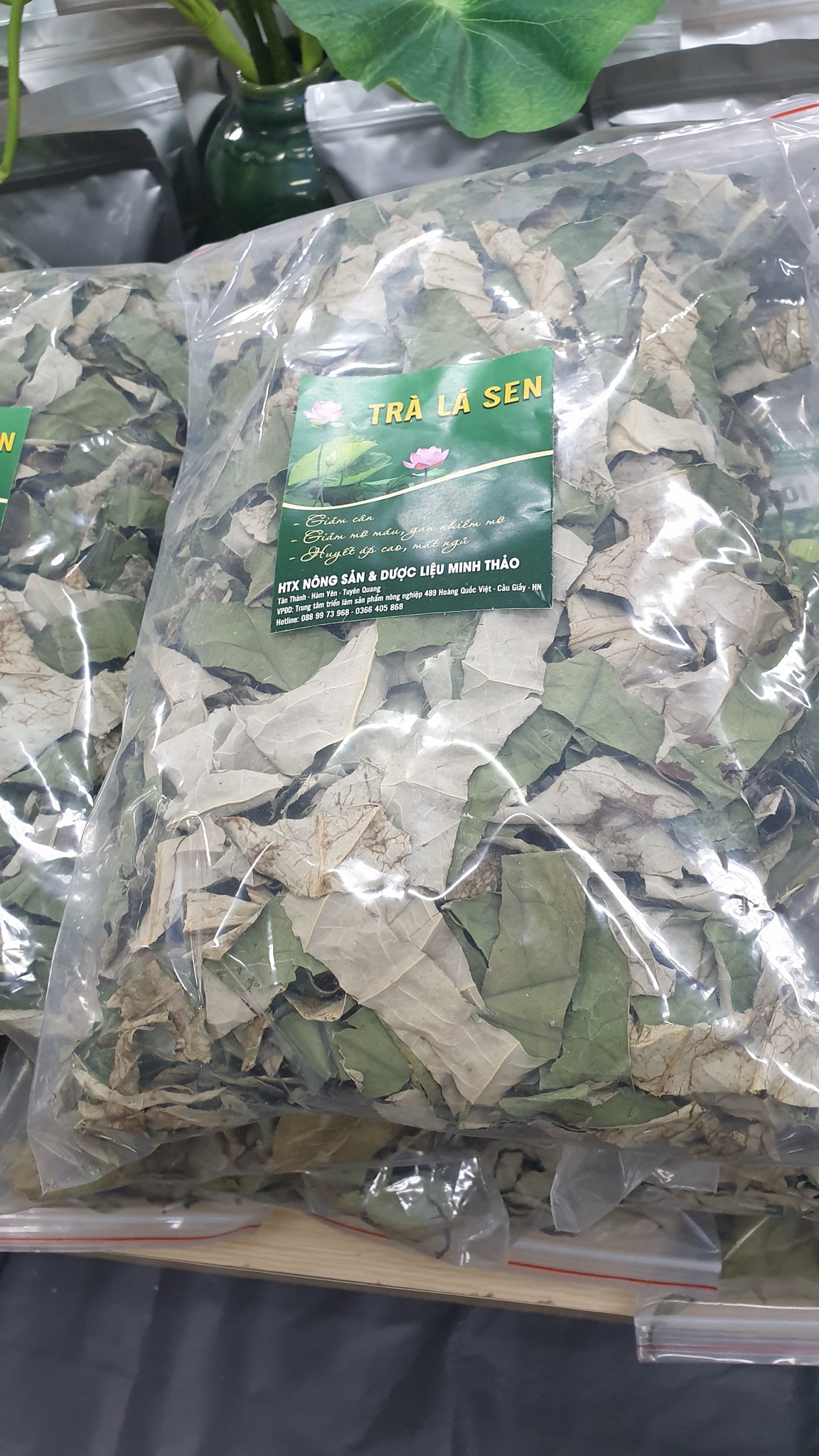 Lotus Leaf Tea