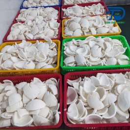 Frozen coconut rice