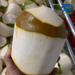 Pre-peeled coconut