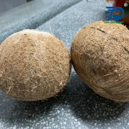 Sliced ​​dried coconut