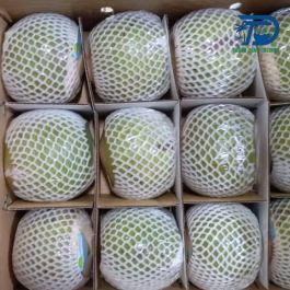 Conical green coconut