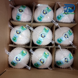 Green coconuts for export