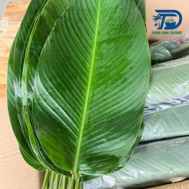 Fresh dong leaves
