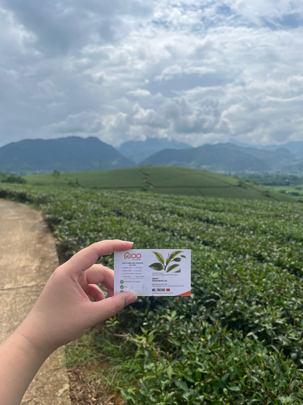 Goo Farm Tea Farm image