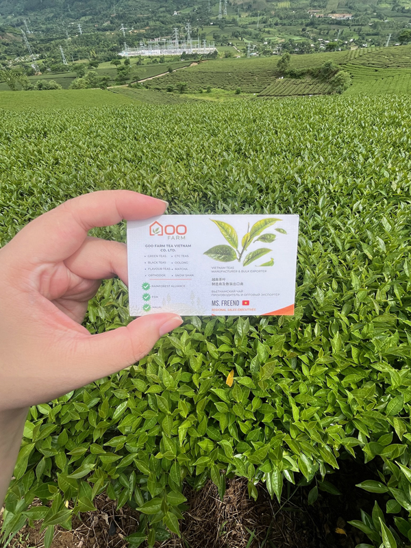 Goo Farm Tea Farm image