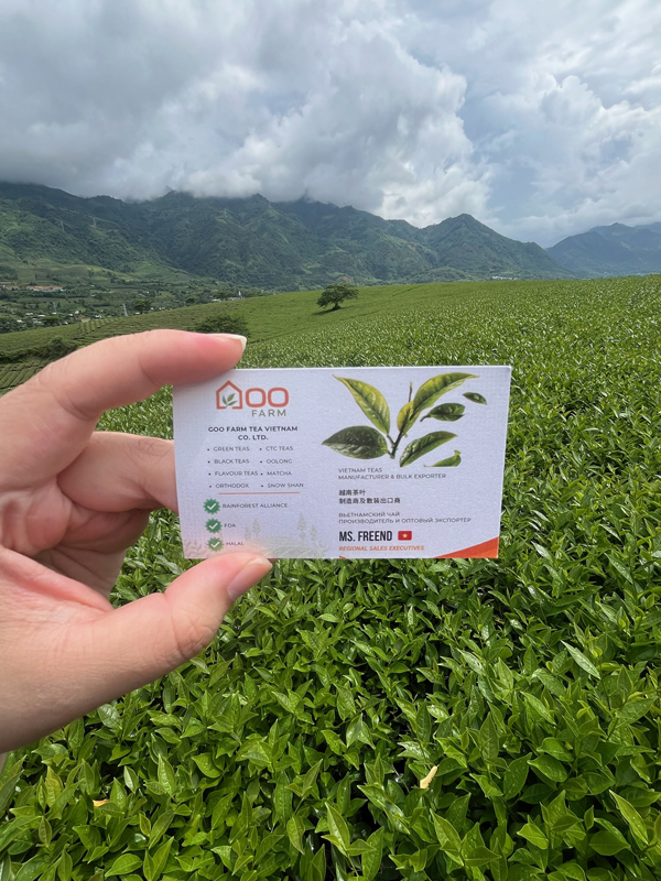 Goo Farm Tea Farm image