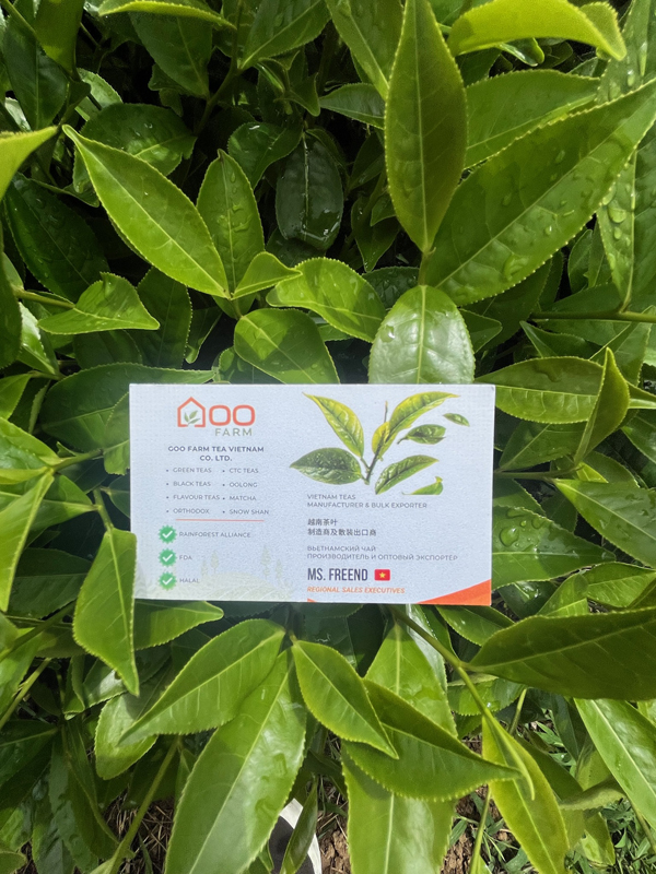 Goo Farm Tea Farm image