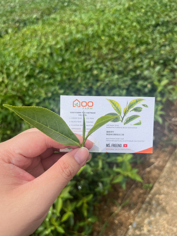 Goo Farm Tea Farm image