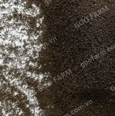 Tea Dust Black Tea PD