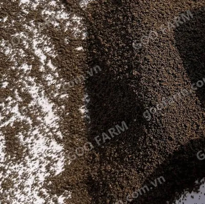 Tea Dust Black Tea PF