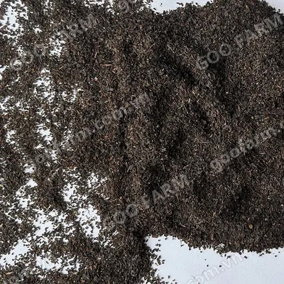 Tea Dust Black Tea Fanning F1