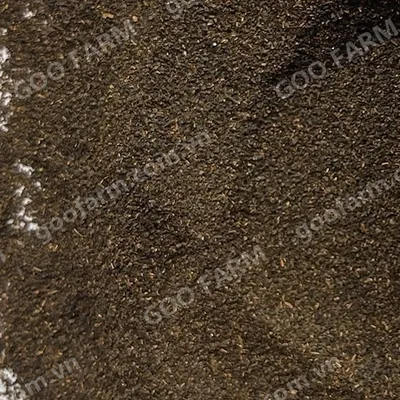 Dust 1 Black Tea