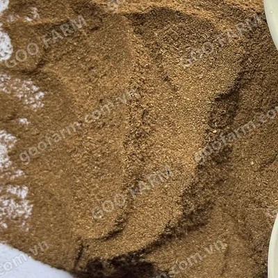 Dust 2 Dust 3 Black Tea