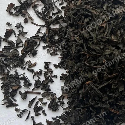 OP Black Tea